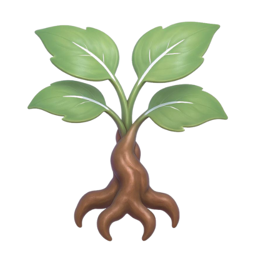 Valeriaanwortel ondersteunt het inslapen